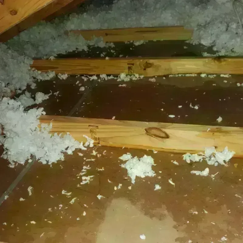 Attic Water Damage in Villisca, IA